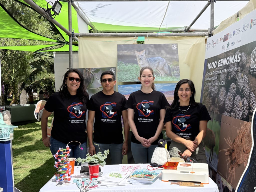 Festival Ladera Sur