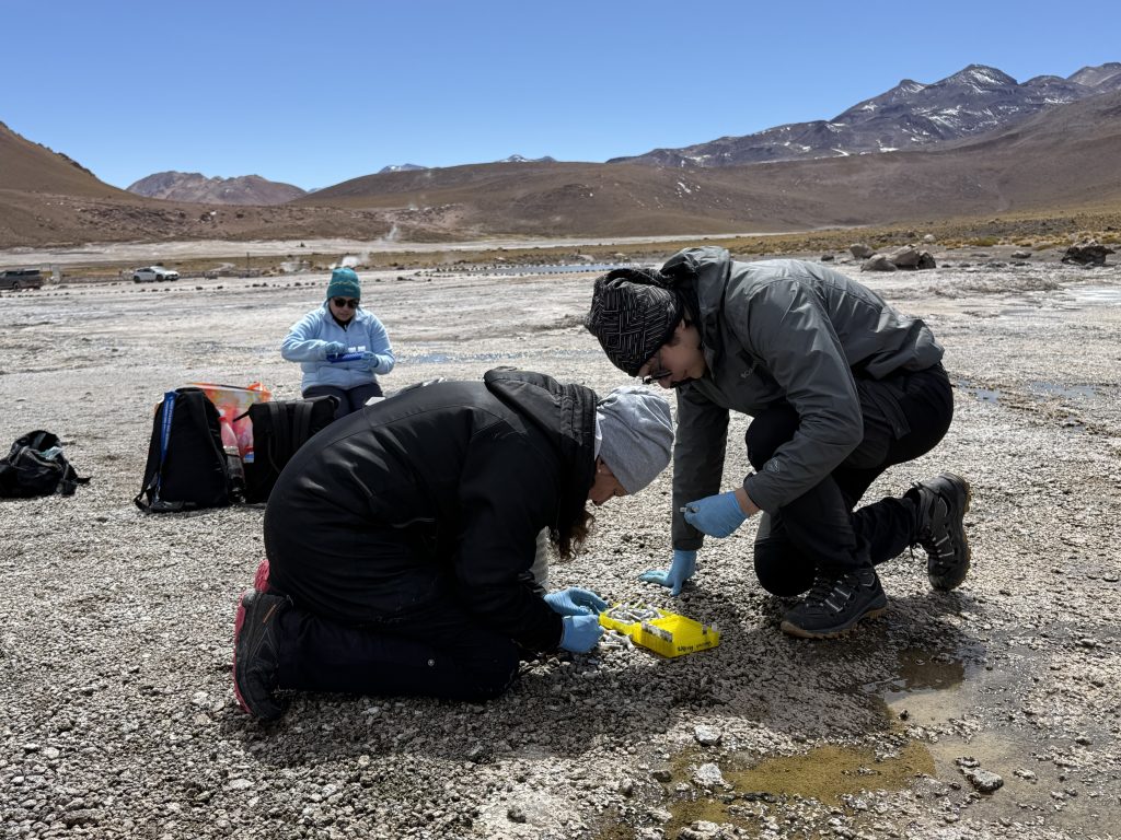 Toma de muestras en terreno