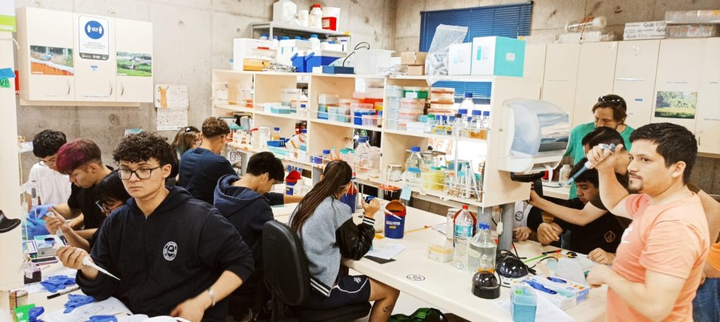 Escuela Artística El Trigal